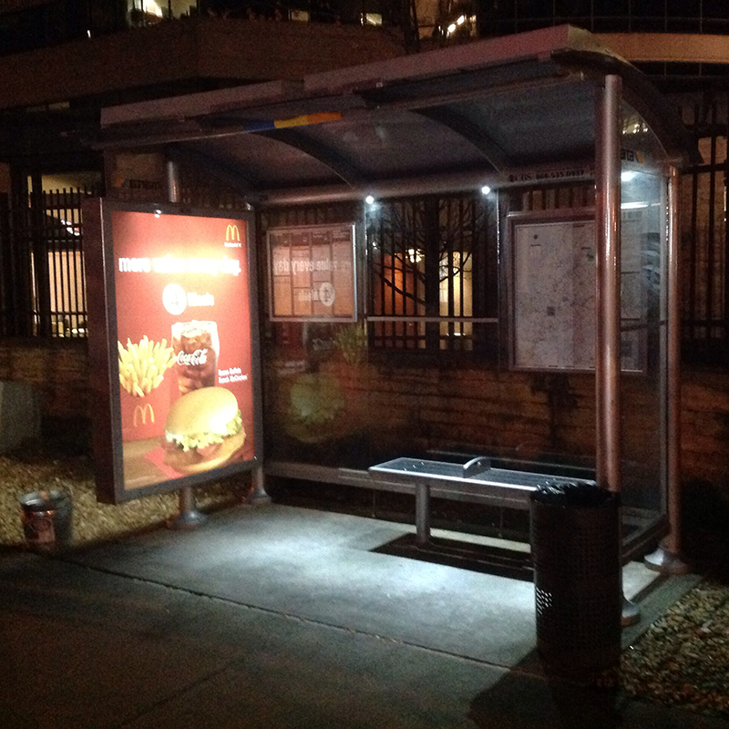 A bus shelter is seen from the front right with a left side advertising panel, bench seating inside and rider information displays on the back panels.