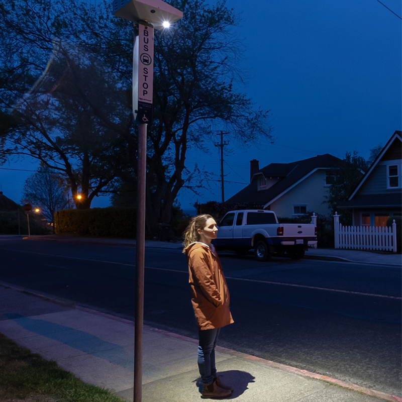 A woman stands in the light at night from a bus stop post with lighting at the top.